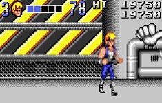 une photo d'Ã©cran de Double Dragon sur Atari Lynx